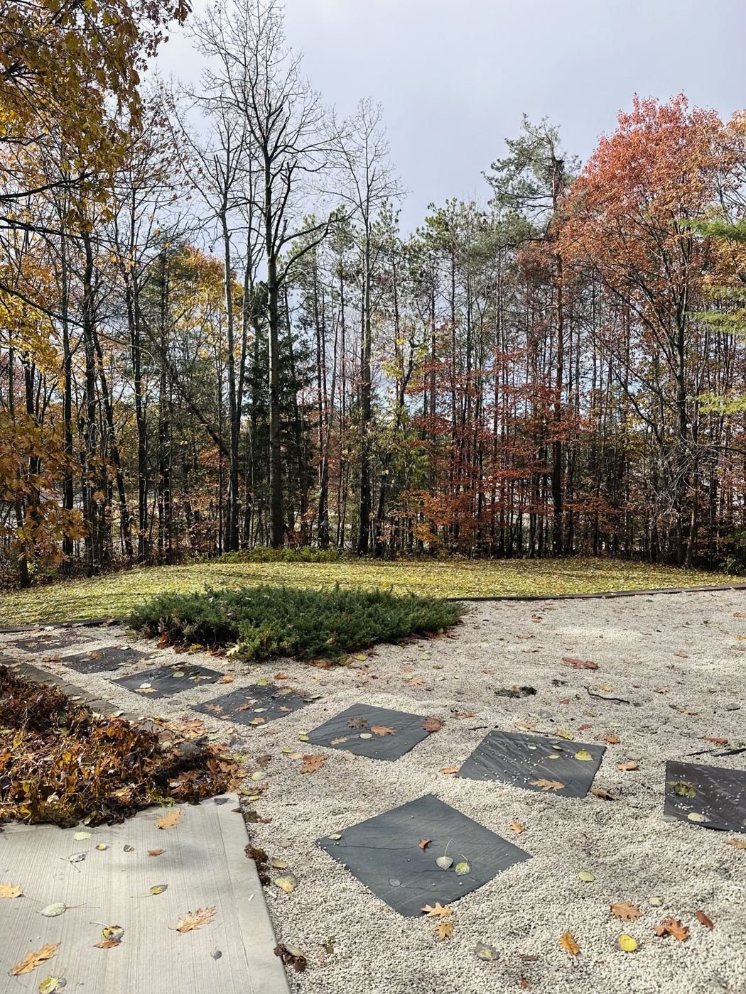 Private walking trail on two wooded acres in Forest Hill Estates, Midhurst